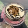 Special Chocolate Rabdi